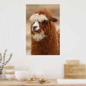 Affiche d'Alpaca (Cuisine)