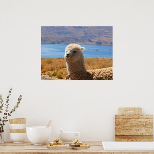 Affiche d'Alpaca (Cuisine)