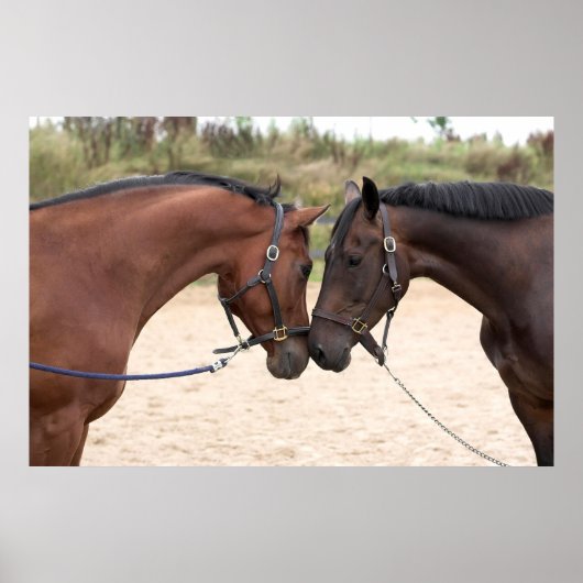 affiche d'amour (Devant)