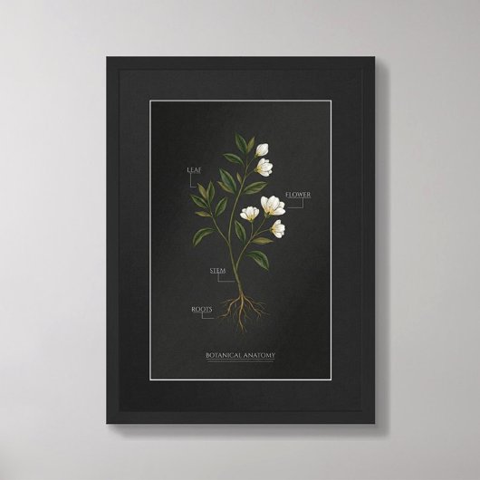 Affiche d'anatomie botanique Dark Academia