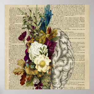 affiche d'anatomie du cerveau floral médical