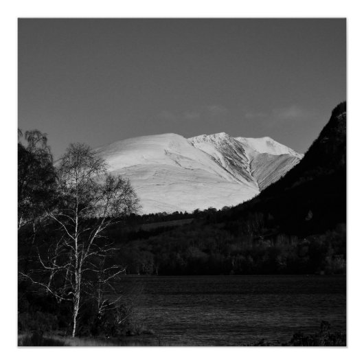Affiche d'arbre de bouleau et de Blencathra (Devant)