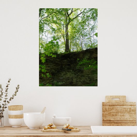 Affiche d'arbres extérieurs (Cuisine)