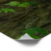 Affiche d'arbres extérieurs (Coin)