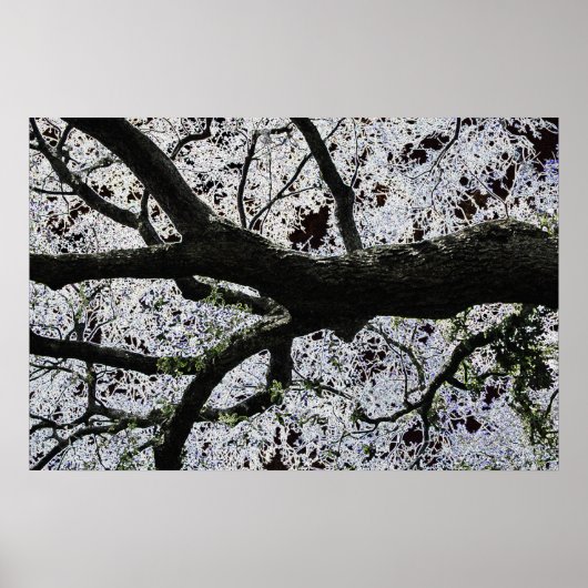 Affiche Dark Art Tree Branches par J.W. Fatherree. (Devant)