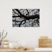 Affiche Dark Art Tree Branches par J.W. Fatherree. (Cuisine)