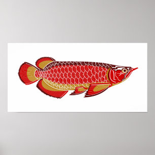 affiche d'arowana
