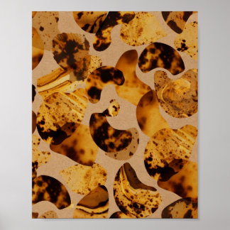 Affiche d'art à motif écaille de tortue ambre