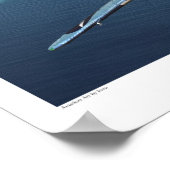 Affiche d'art aéronautique "Douglas TBD Devastator (Coin)