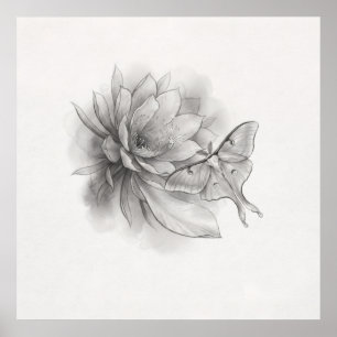 Affiche d'art au crayon de la lune moth lotus fleu