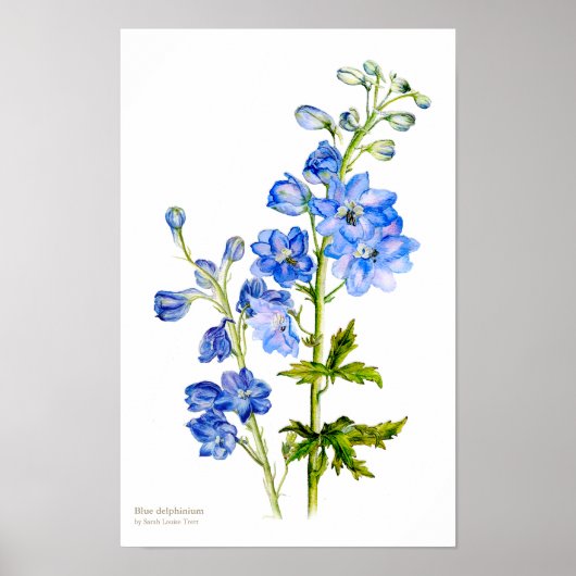 Affiche d'art botanique fine impression de pied de (Devant)