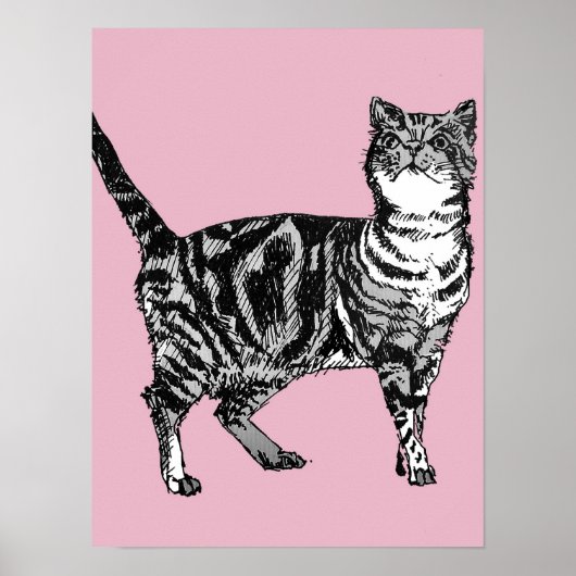 Affiche d'art de chat tigré rayé rose mignon (Devant)