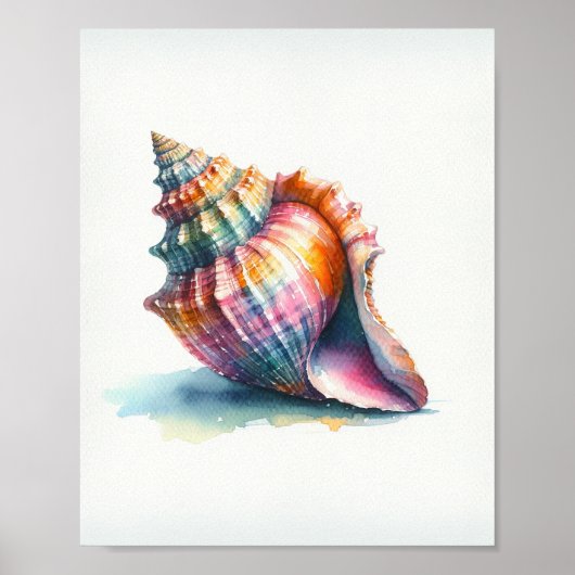 Affiche d'art de coquillages à l'aquarelle (Devant)