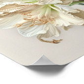 Affiche d'art de fleur d'Amaryllis blanche (Coin)