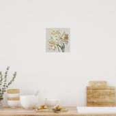 Affiche d'art de fleur d'Amaryllis blanche (Cuisine)