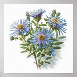 Affiche d'art de fleur d'aster bleu