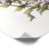 Affiche d'art de fleur d'aster pourpre (Coin)