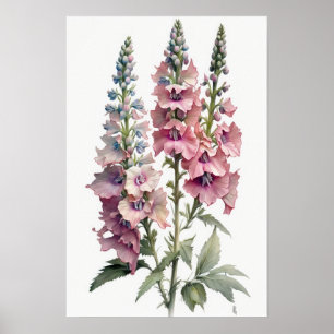 Affiche d'art de fleur de Delphinium rose