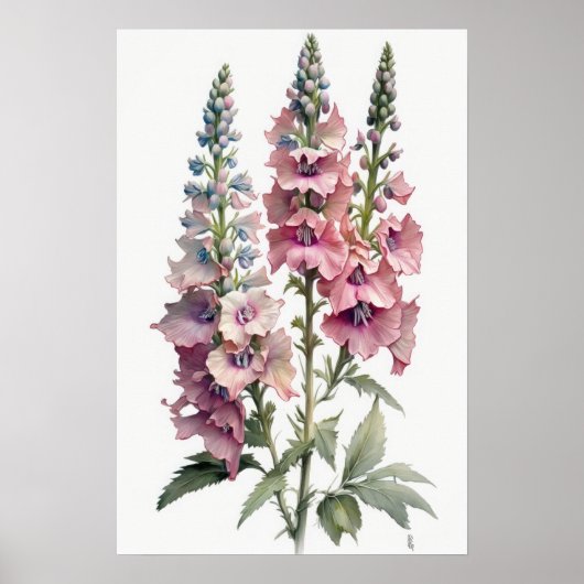 Affiche d'art de fleur de Delphinium rose (Devant)