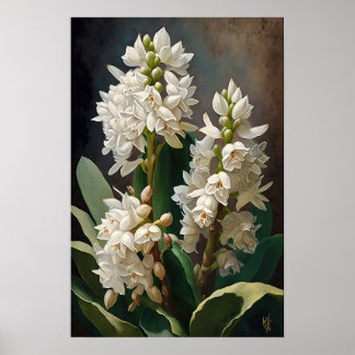 Affiche d'art de fleur de jacinthe blanche