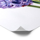 Affiche d'art de fleur de jacinthe violette (Coin)