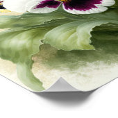 Affiche d'art de fleur de Pensées Pensée (Coin)