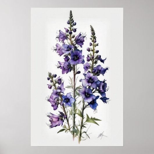 Affiche d'art de fleur de pied-d'alouette pourpre (Devant)
