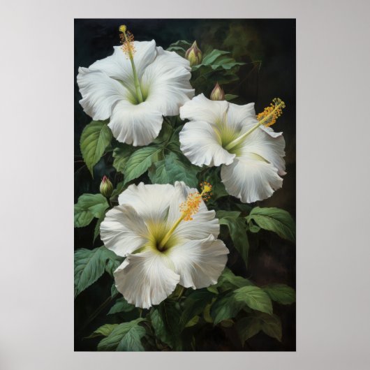 Affiche d'art de fleur d'Hibiscus blanc (Devant)