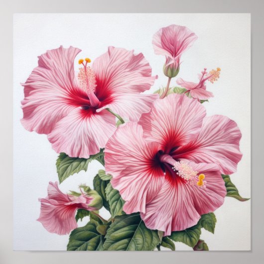 Affiche d'art de fleur d'hibiscus rose (Devant)