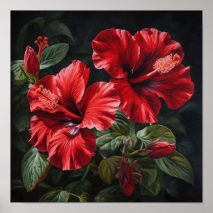 Affiche d'art de fleur d'Hibiscus rouge