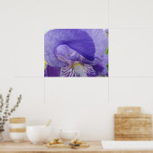 Affiche d'art de fleur d'iris pourpre Impressions  (Cuisine)