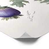 Affiche d'art de fleurs d'anémone bleue (Coin)