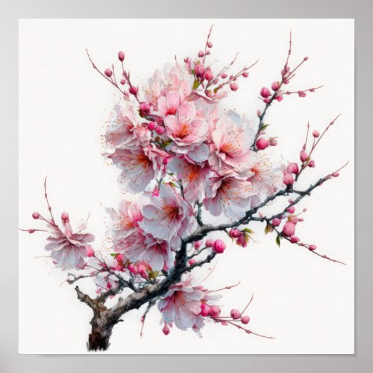 Affiche d'art de fleurs de cerisier rose (Devant)