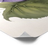 Affiche d'art de fleurs de gloire du matin violet (Coin)