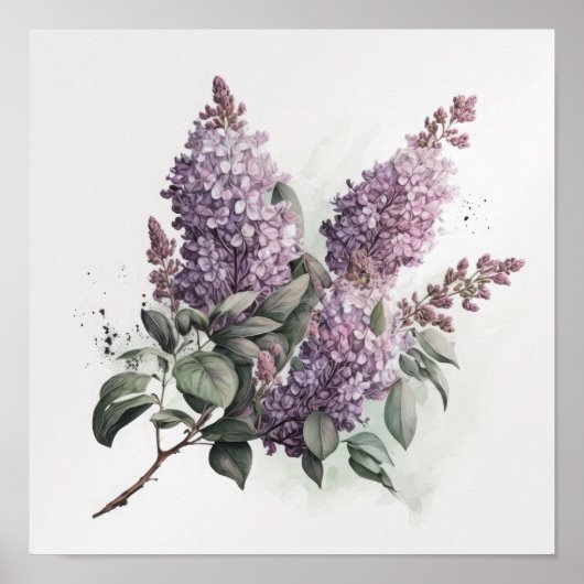 Affiche d'art de fleurs de lilas (Devant)
