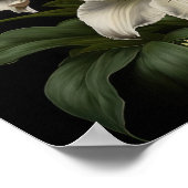 Affiche d'art de fleurs de lis blanc de Pâques (Coin)