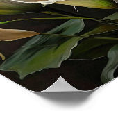 Affiche d'art de fleurs de lys calla blanc (Coin)