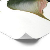 Affiche d'art de fleurs de lys calla rouge (Coin)