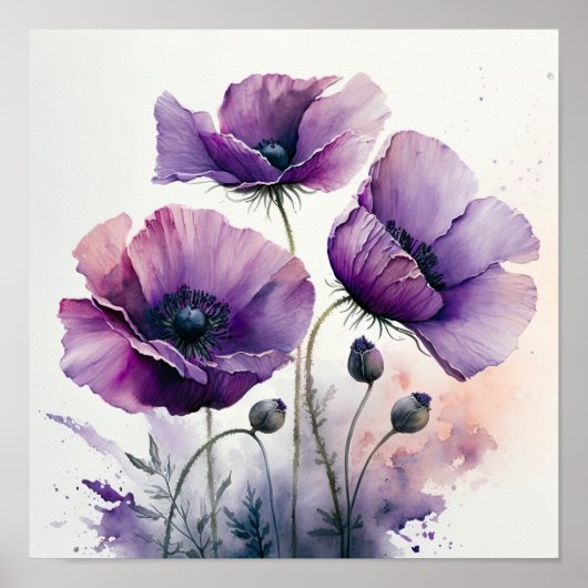 Affiche d'art de fleurs de pavot pourpre (Devant)