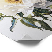 Affiche d'art de fleurs de Pivoine Blanche (Coin)