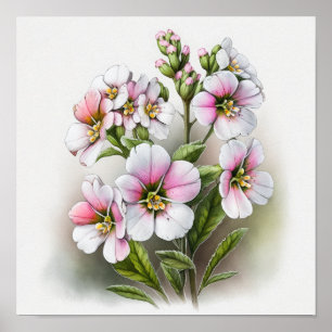 Affiche d'art de fleurs de primevère rose