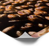 AFFICHE D'ART DE GRAIN DE CAFÉ (Coin)