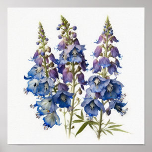 Affiche d'art de la fleur de Delphinium bleu