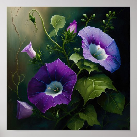 Affiche d'art de la fleur de gloire du matin viole (Devant)