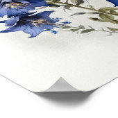 Affiche d'art de la fleur de l'épervière bleue (Coin)