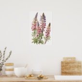 Affiche d'art de la fleur de lupin rose (Cuisine)