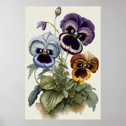 Affiche d'art de la fleur de pensée Pensées (Devant)
