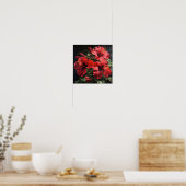 Affiche d'art de la fleur d'Hibiscus rouge (Cuisine)