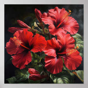 Affiche d'art de la fleur d'Hibiscus rouge
