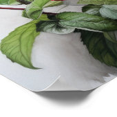 Affiche d'art de la fleur d'Hibiscus rouge (Coin)